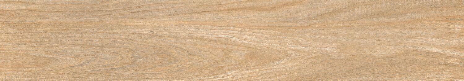 Forest Bamboo 20x120 Matt