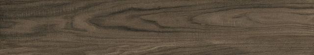 Forest Brown 20x120 Matt