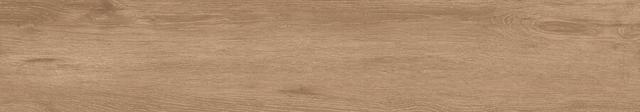 Forest Honey 20x120 Matt