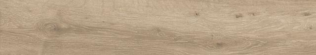 Forest Natural 20x120 Matt