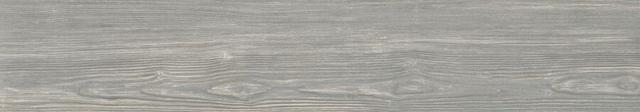 Polo Grigio 20x120 Matt