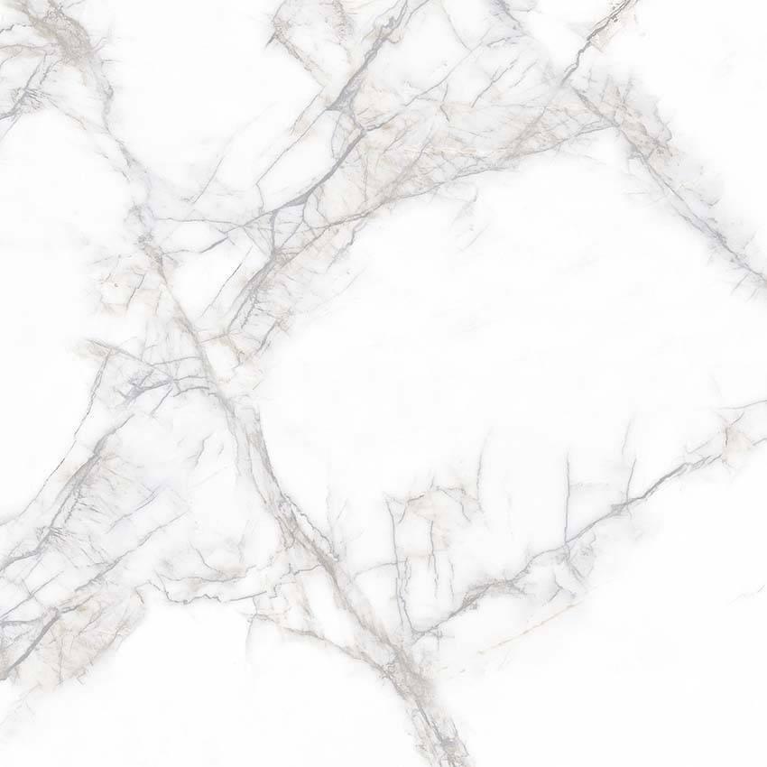 Arena White