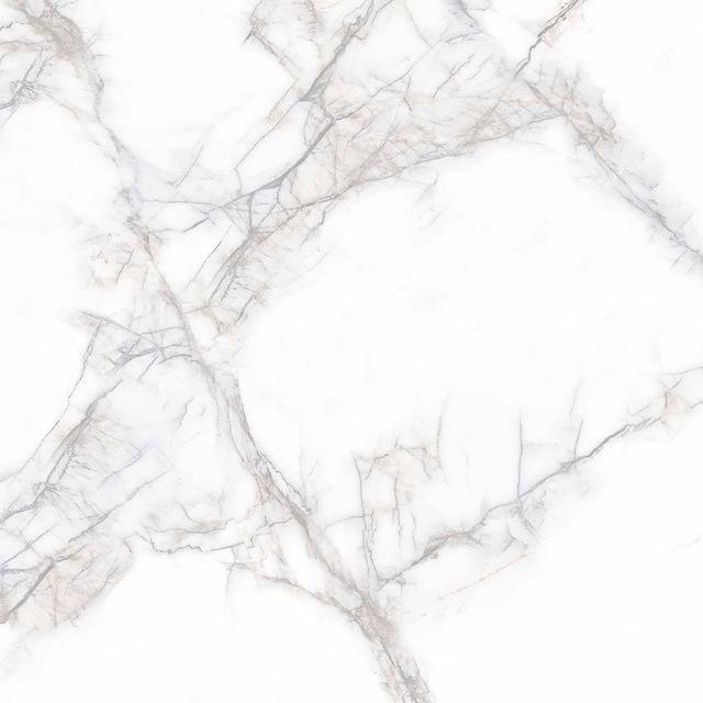 Arena White