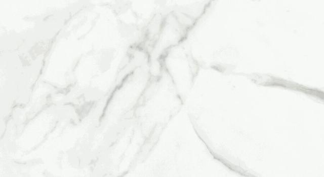 Dalim White 30x60