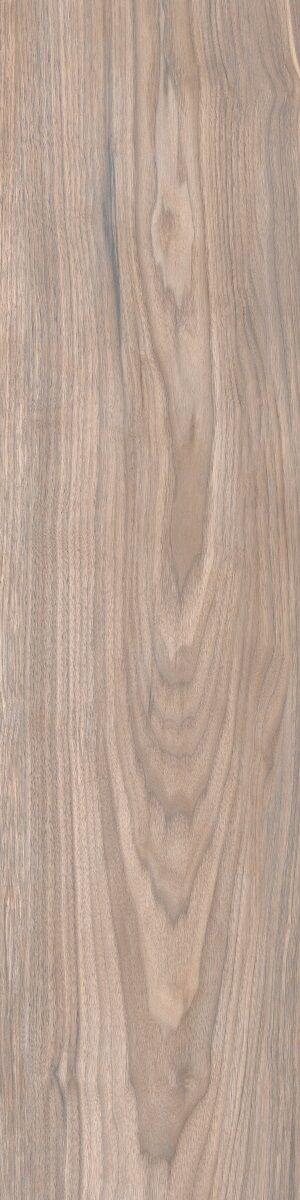 Forest Gold Terra 20x80