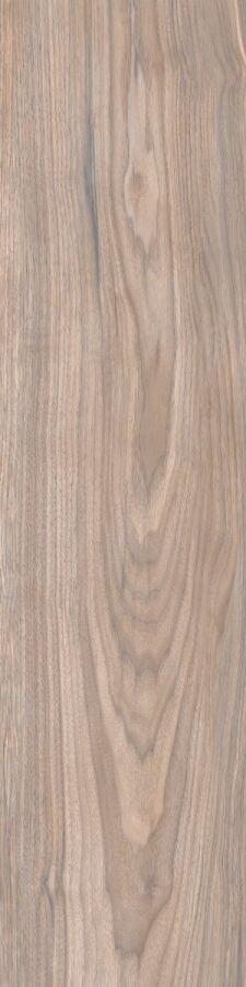 Forest Gold Terra 20x80