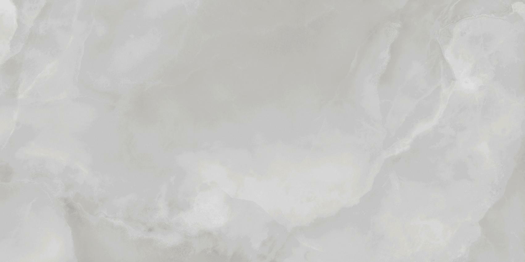 Vilema Grey Polished 60x120