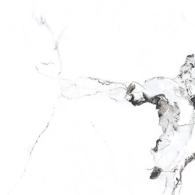 Videl Bianco Sugar 60x60