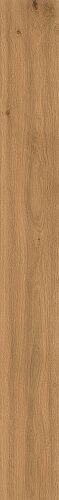Natural Amber Oak 9,5 mm AX5X