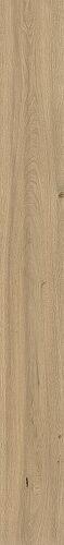Natural Moon Oak 9,5 mm AX51