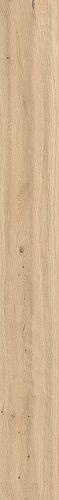 Forest Bright Oak 9,5 mm AX5W