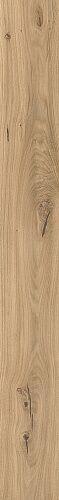 Forest Icon Oak 9,5 mm AX5U