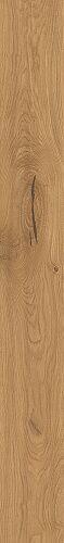 Forest Amber Oak 9,5 mm AX5Y
