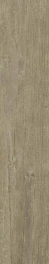 Quercus Antico Matt Rect