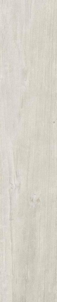 Quercus Betulla Matt Rect