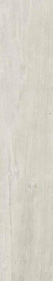 Quercus Betulla Matt Rect