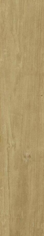 Quercus Miele Matt Rect