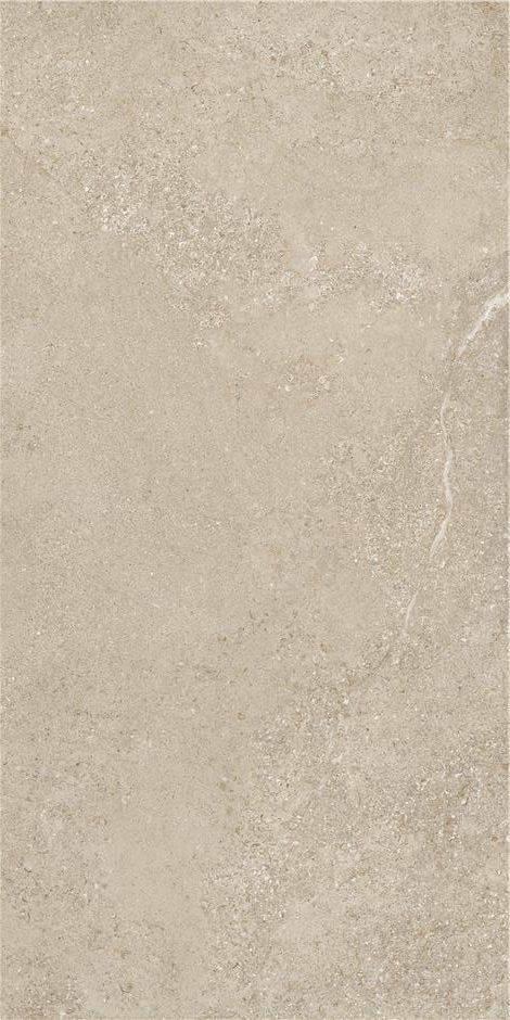 Arenite Natural Matt