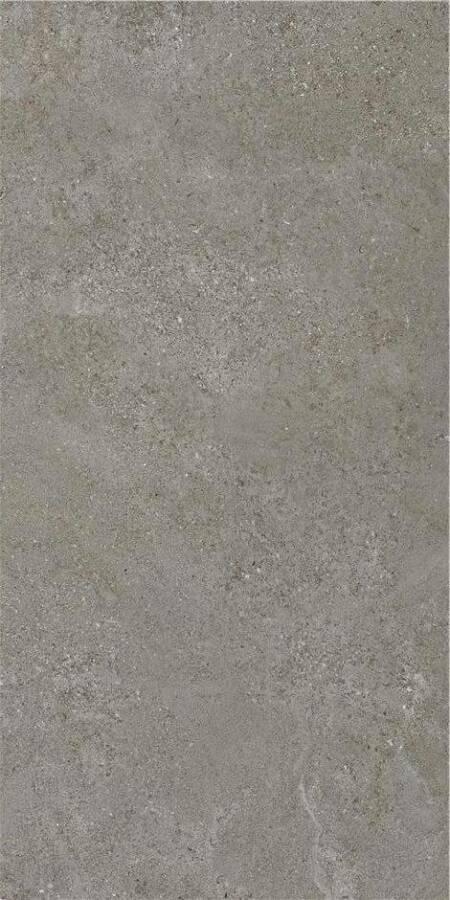 Arenite Dark Grey Matt