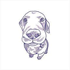 Eddiy Матовый