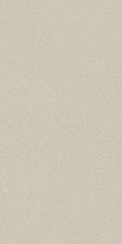 Greige-R 60x120