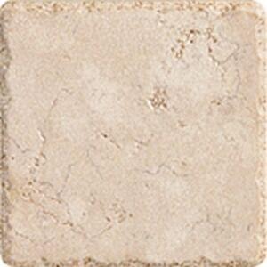 HSF1 Beige