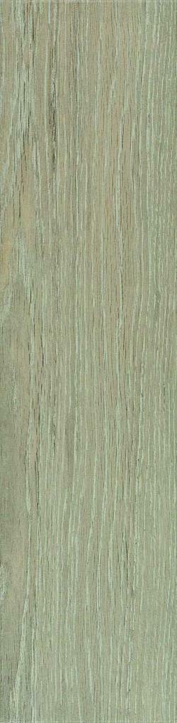 Harmony Tortora R2KG