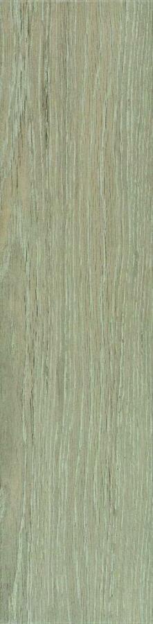Harmony Tortora R2KG