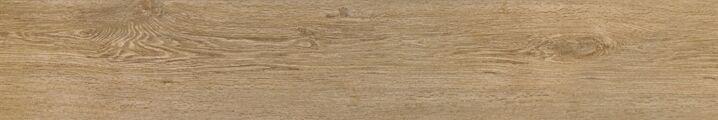 Root Miele