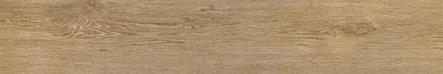 Root Miele