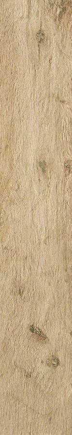 Axi Golden Oak AE7V