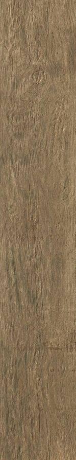 Axi Brown Chestnut D174