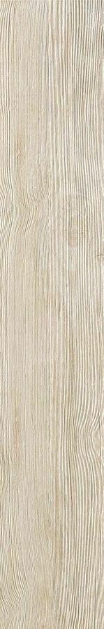 Axi White Pine D170