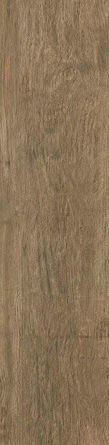 Axi Brown Chestnut AS3A