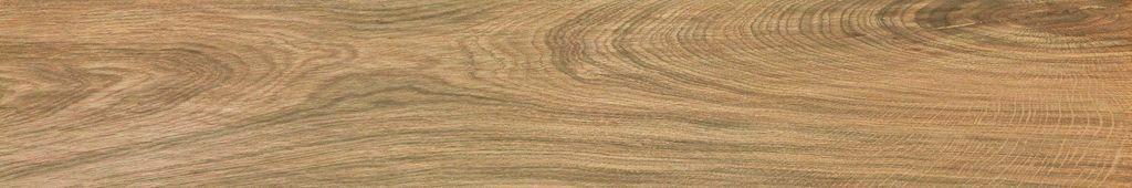 Etic Rovere AJ8P