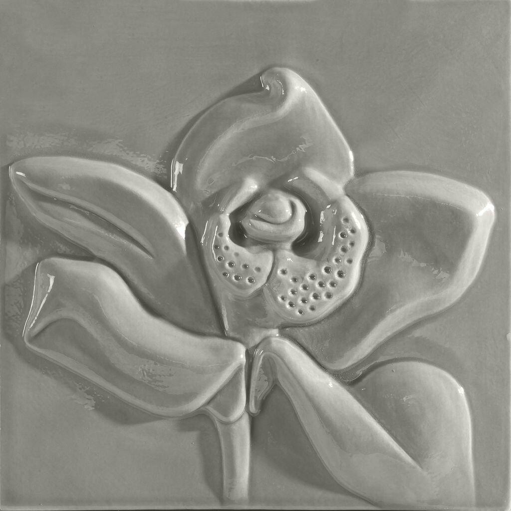 Win Europa Decor Gris