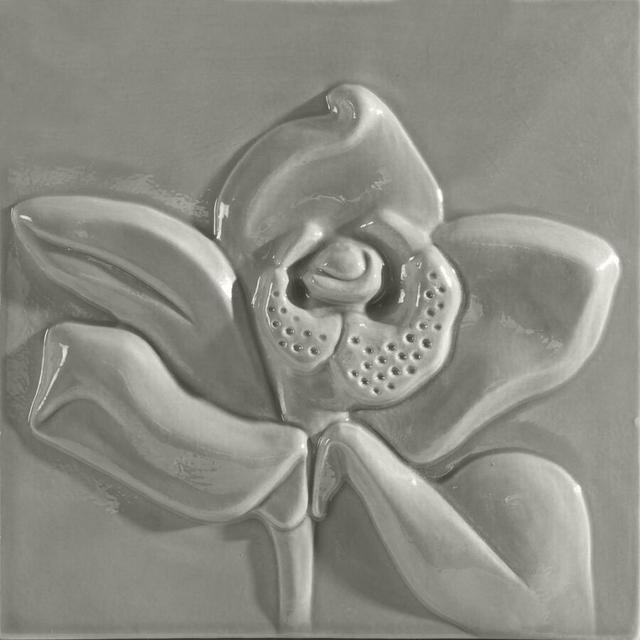 Win Europa Decor Gris