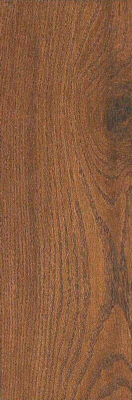 Aracena Kauri