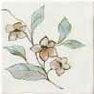 Jardin Giallo Bianco