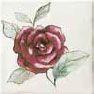 Jardin Rosa Bianco