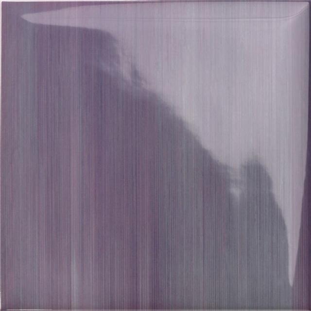 lucciola Viola