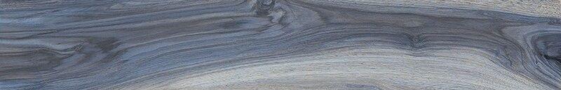 075095 Kauri Tasman Nat Rett