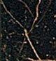 2401030  Marble Nero S.Laurent Nat