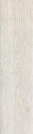 Jungle White