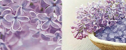Decor Dreams A