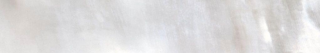 556737 Tanduk Grigio Lapp/Rett