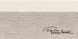 556825 Alzata Conchiglia Firma