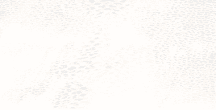 530303 Bianco Lapp/Rett
