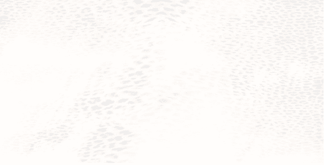 530303 Bianco Lapp/Rett