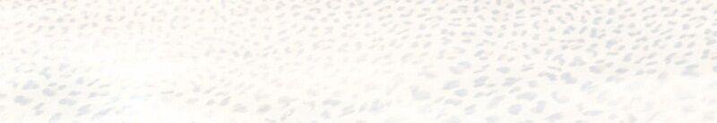530307 Bianco Lapp/Rett